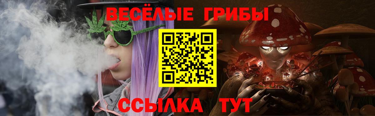 Галлюциногенные грибы Magic Shrooms  Вход с VPN  Нальчик 