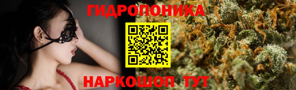 Конопля гибрид  Бошки Шишки MAZAR  Вход с VPN  Нальчик  Канабис семена  Шишки марихуана OG Kush 